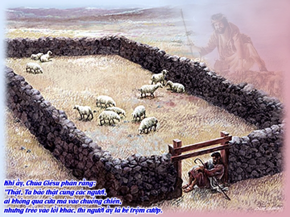 Thánh Kinh bằng hình: CN IV PS A. Chúa Nhật Chúa Chiên Lành. Cầu cho ơn thiên triệu